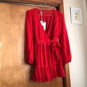 Hello Molly Somethings Missing Dress